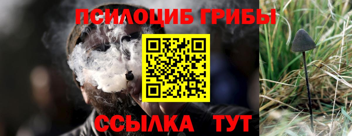 Псилоцибиновые грибы мицелий  Вход с VPN  Острогожск 